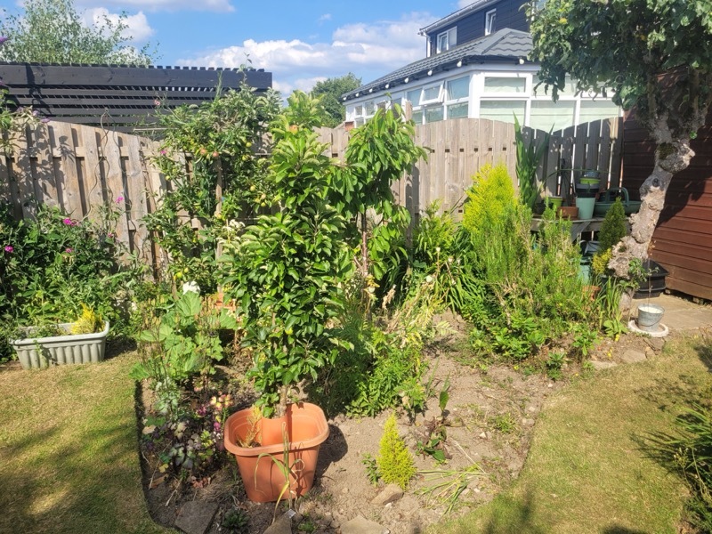 Other image for Barnsley’s best garden: How garden has become couple’s happy place